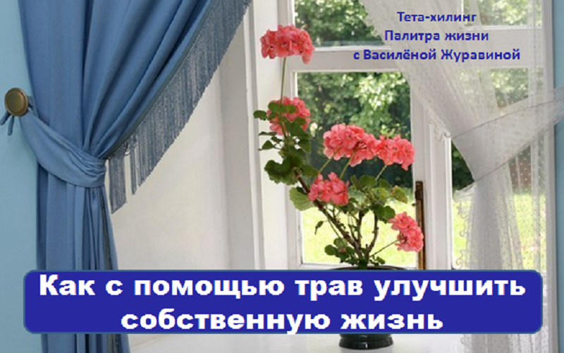 kak-s-pomoshhyu-trav-uluchshit-zhizn