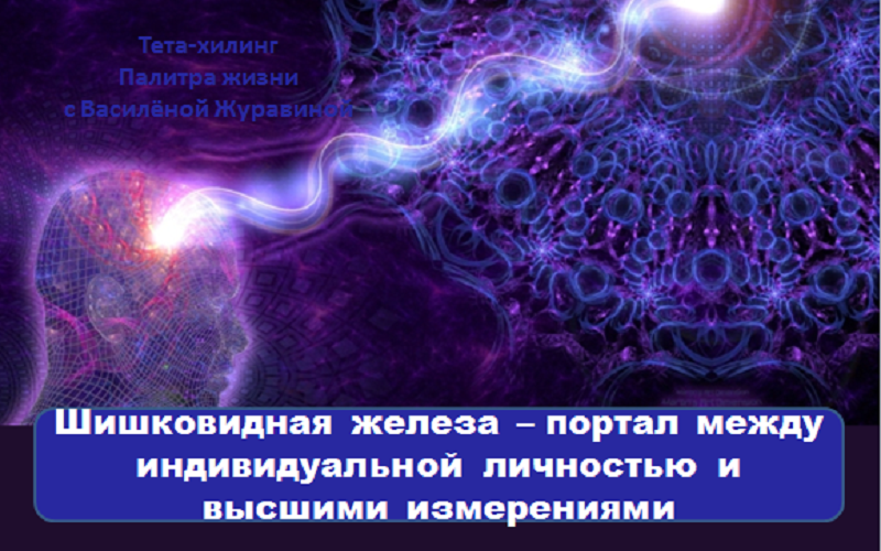 shishkovidnaya-zheleza