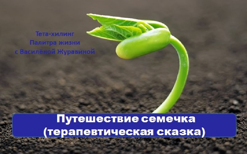 Путешествие семечка (терапевтическая сказка)